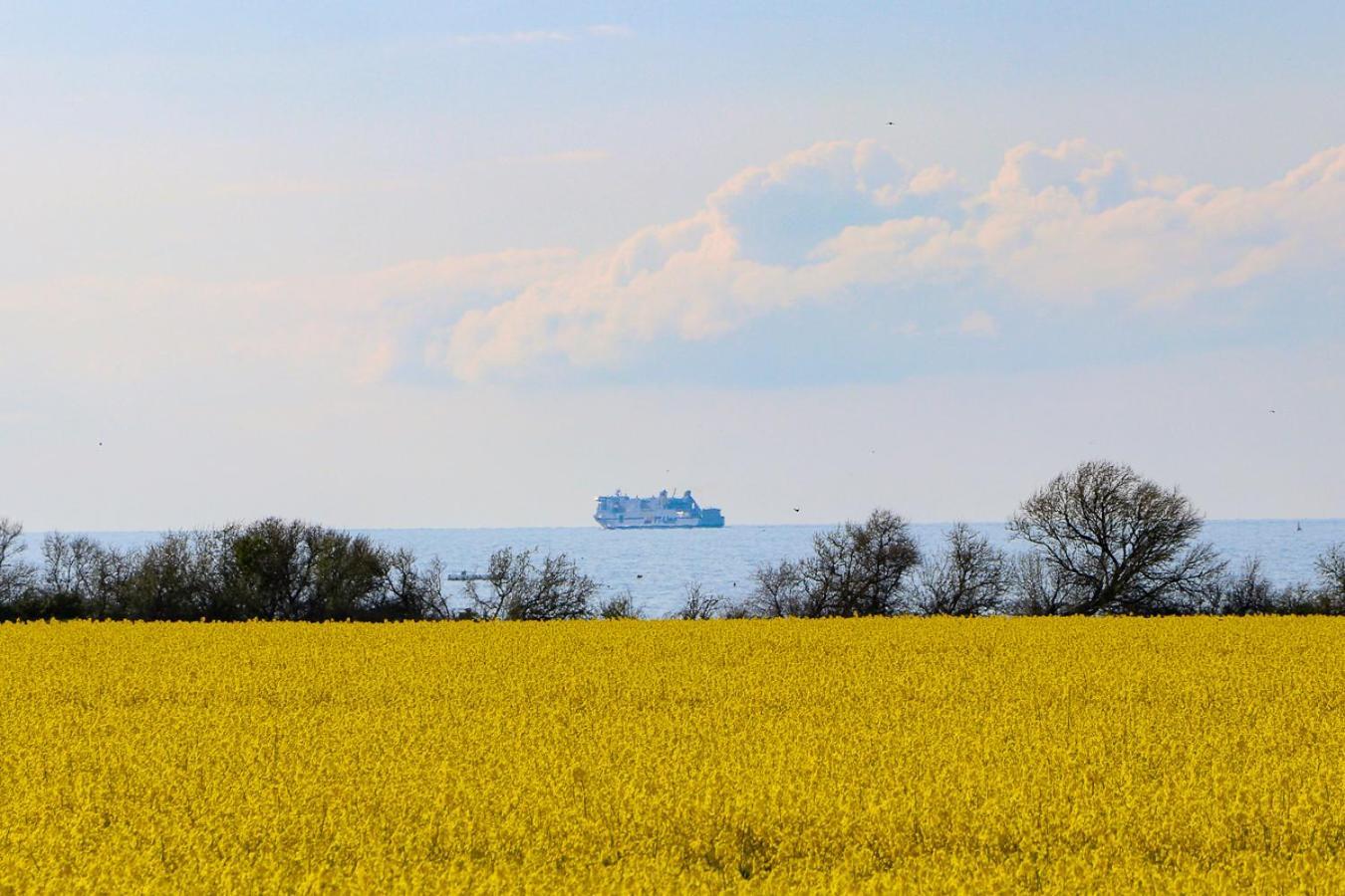 Meerblick Ostseebad Nienhagen Esterno foto